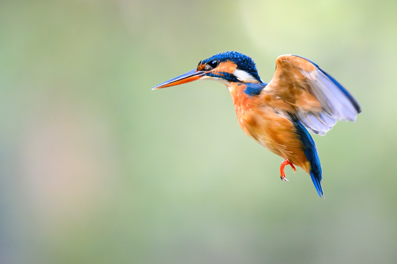 The Power of Perspective: Transforming Photos with Simple Techniques