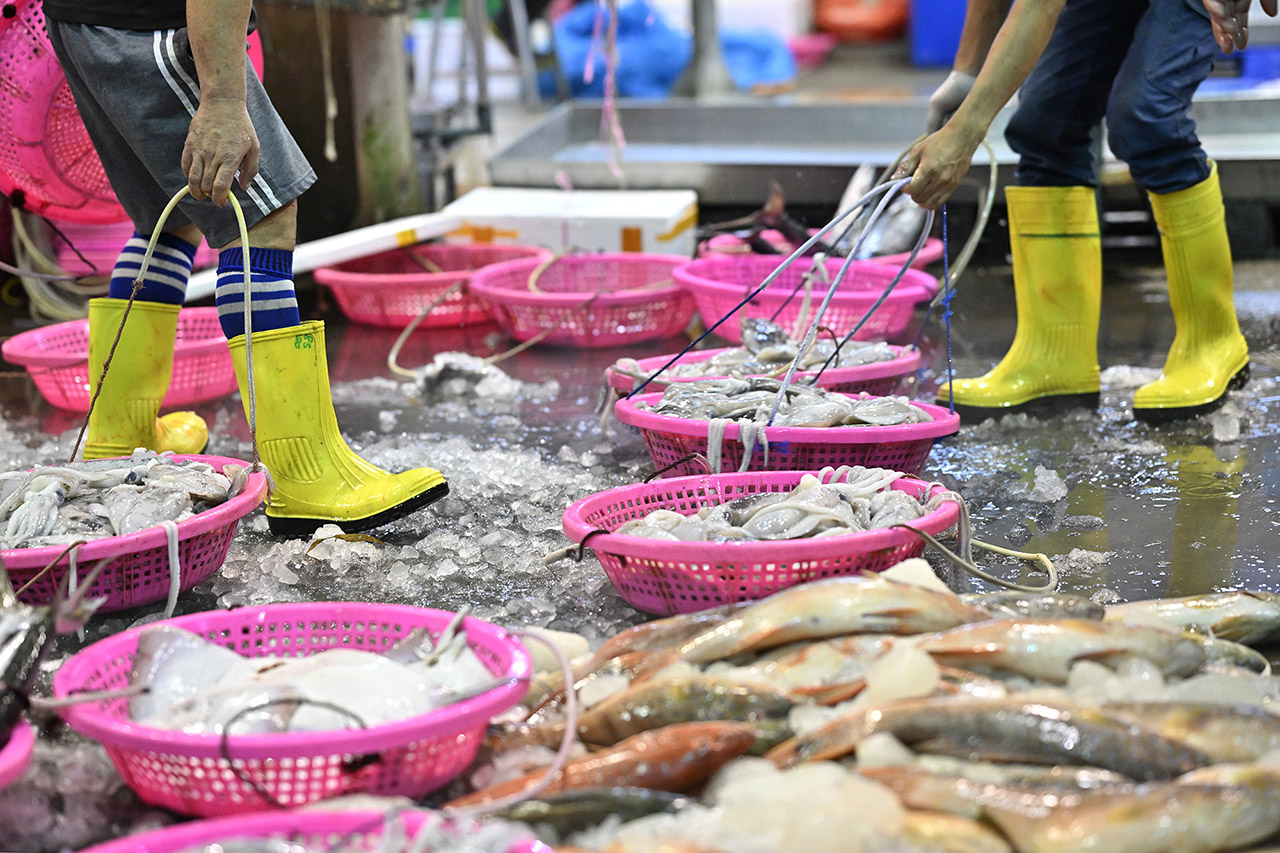 Documenting Everyday Life at the Wet Market