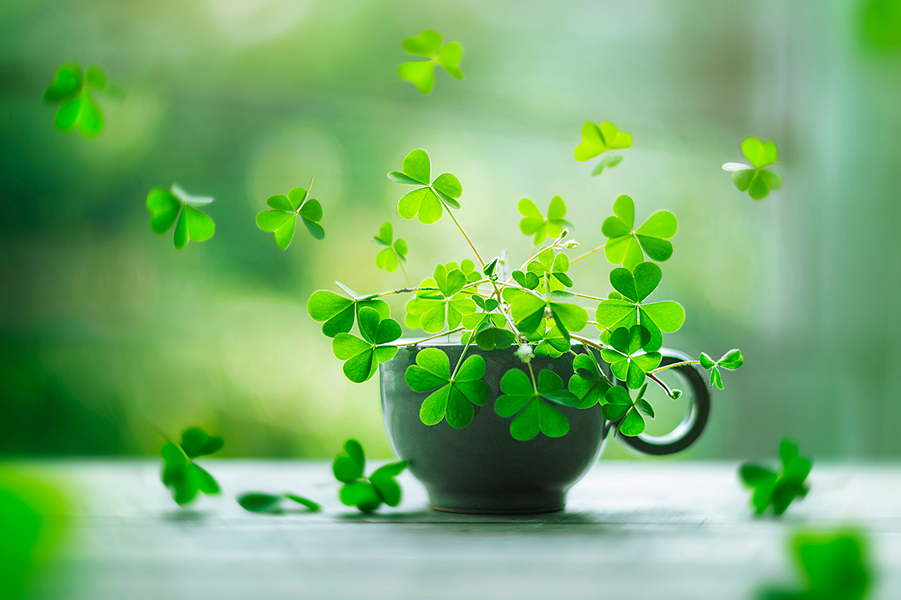 Creating Magical Still Life Photography with Ashraful Arefin