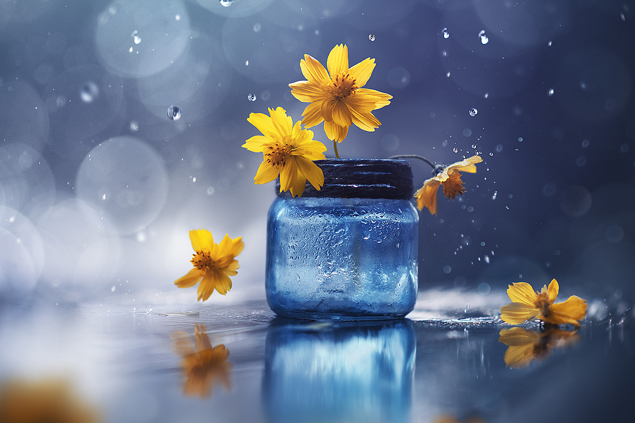 Creating Magical Still Life Photography with Ashraful Arefin